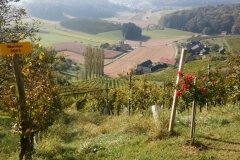 Here is where I went to work today. Smile. This is real! Not a painting. I sang over looking this view today. Incredible!